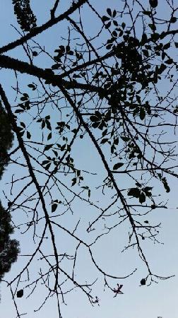 Huweishan Atmosphere Theme Park